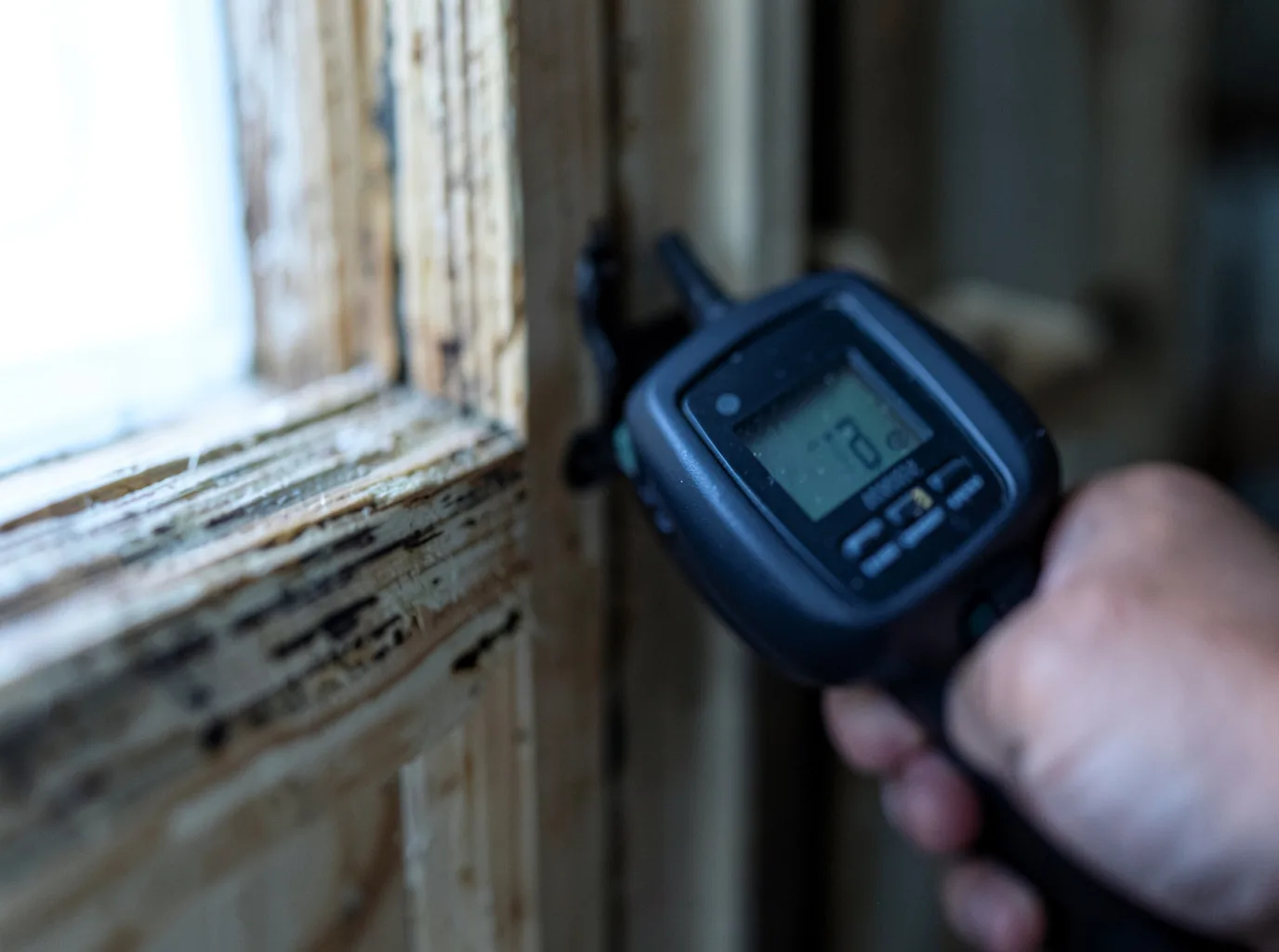 Moisture Inspection And Documentation in Sturgeon Lake, MN